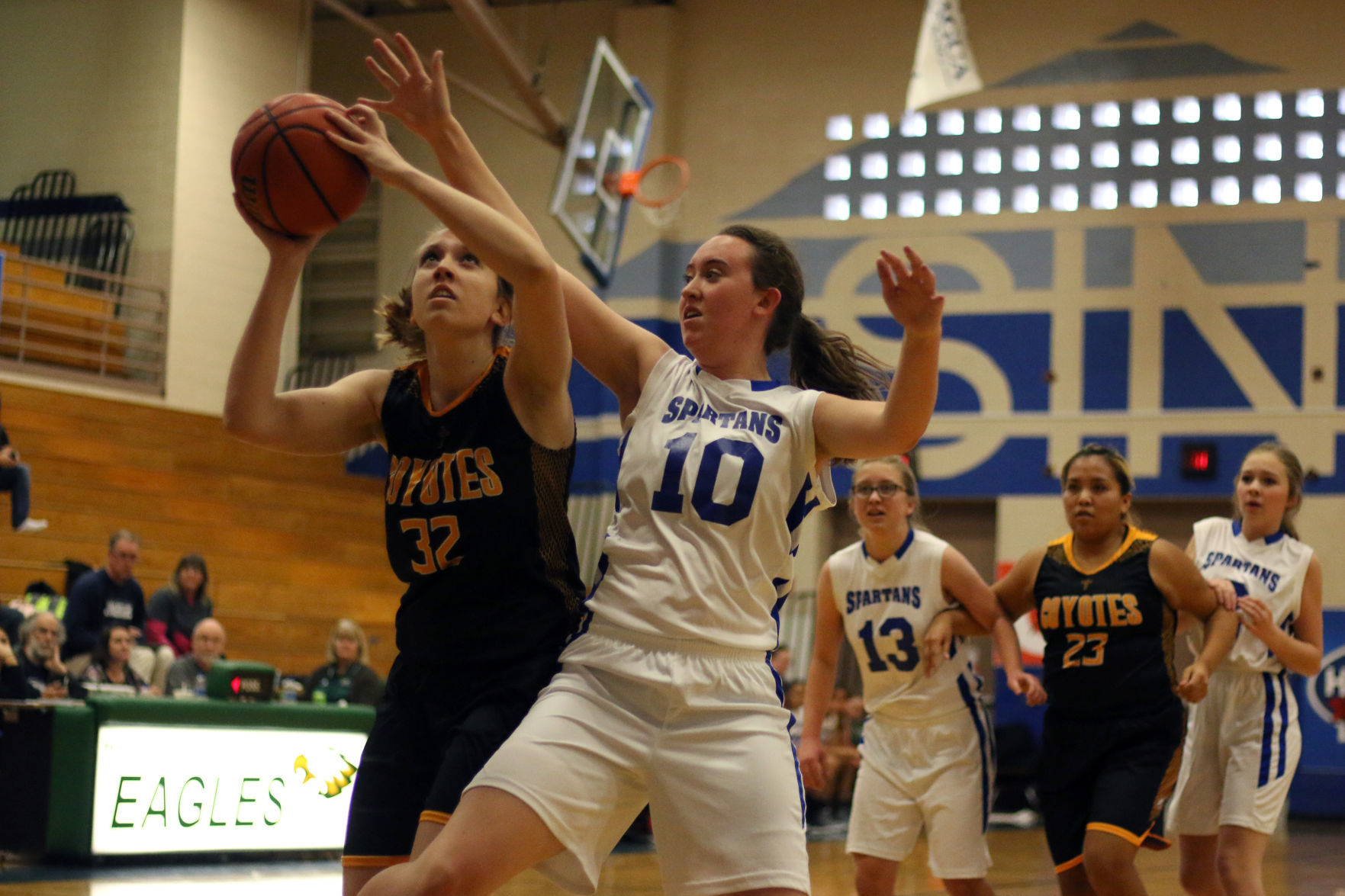 NPA Basketball